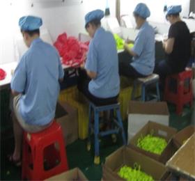 广东硅胶冰格批发就选汉川硅胶冰格厂家,他们的最小起订量是多少?